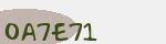 Security Code